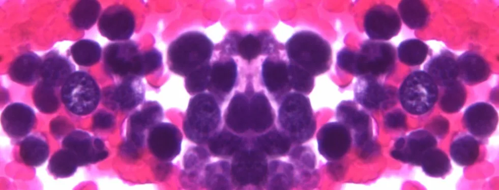 Cytologia, abstrakcyjny układ komórek w odcieniach różu i fioletu, obraz mikroskopowy